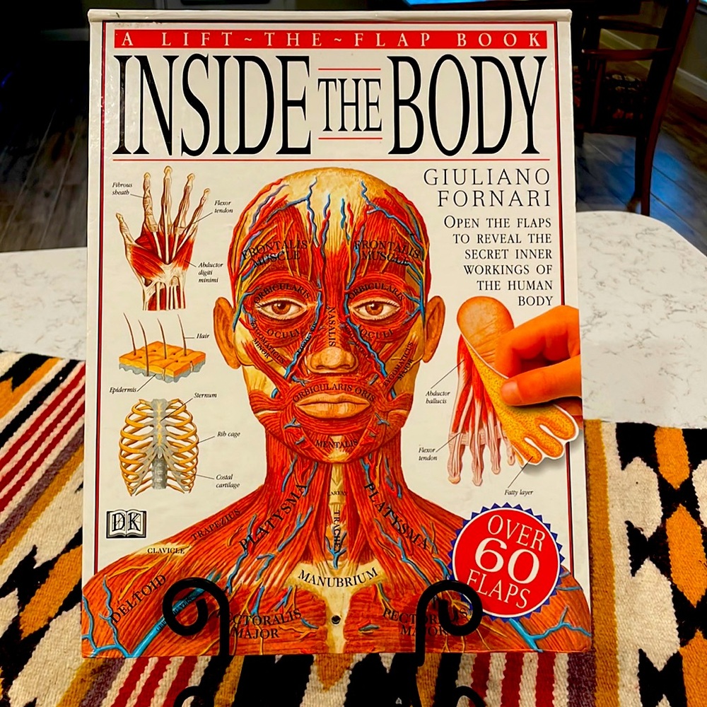 Inside the Body - Flap Book